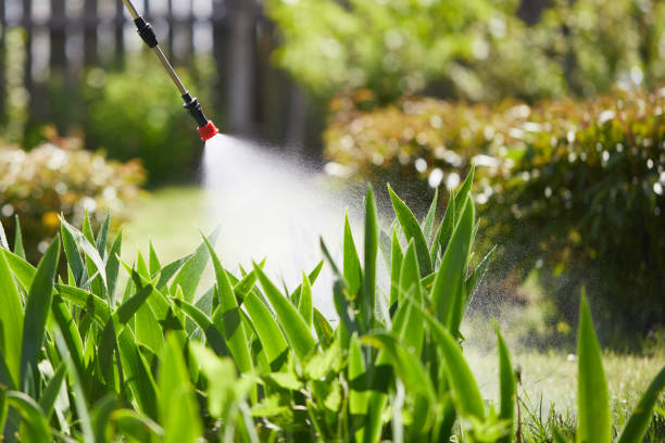 24/7 Emergency Fumigation Services experts in Rushville, IN